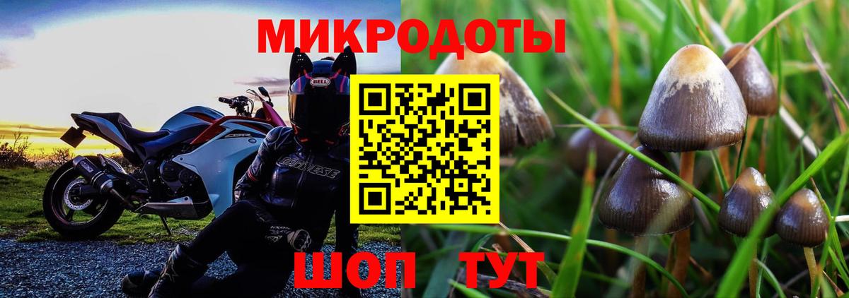 Псилоцибиновые грибы GOLDEN TEACHER  Галлюциногенные грибы GOLDEN TEACHER  Моздок  Вход с VPN 