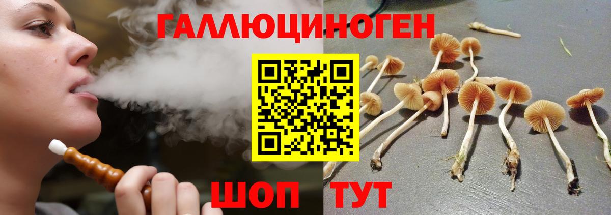 Галлюциногенные грибы Cubensis Моздок